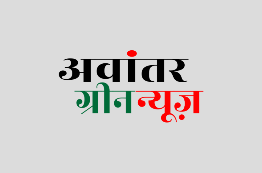  रायपुर : अठ्ठाईस नदियों के तट पर 11 लाख पौधों का रोपण